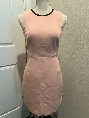 Banana Republic Pale Pink Sheath Dress with Black Neck Trim